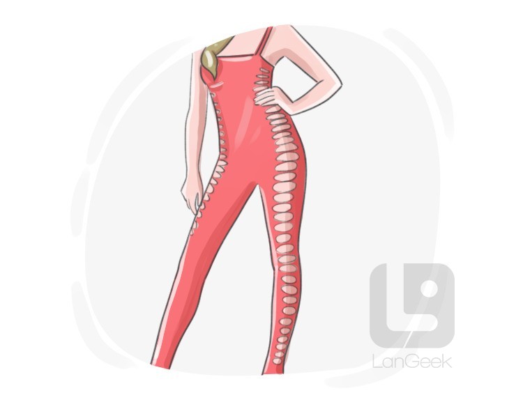 body stocking definition and meaning