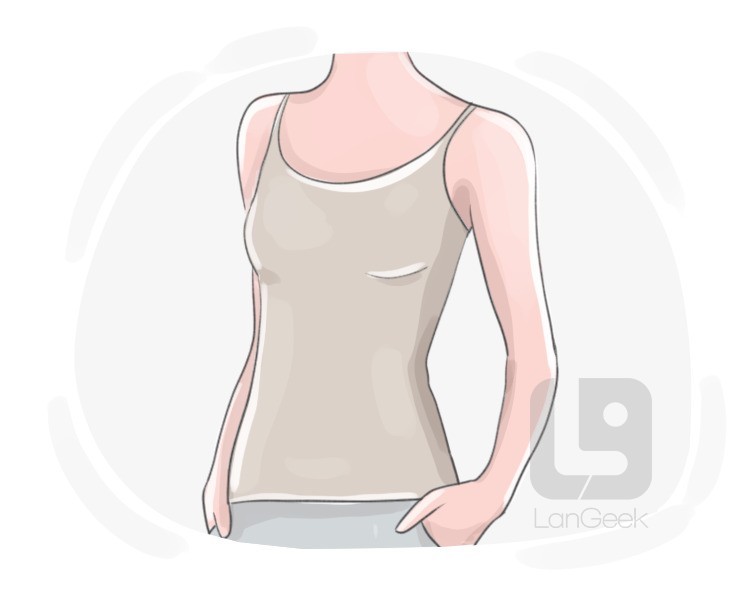 camisole definition and meaning