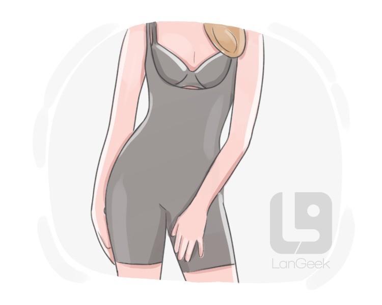 shapewear definition and meaning