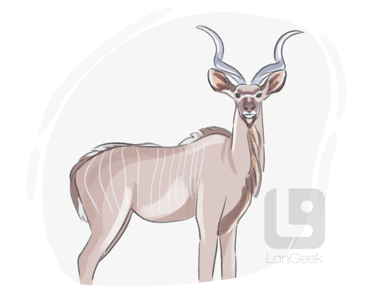 kudu definition and meaning
