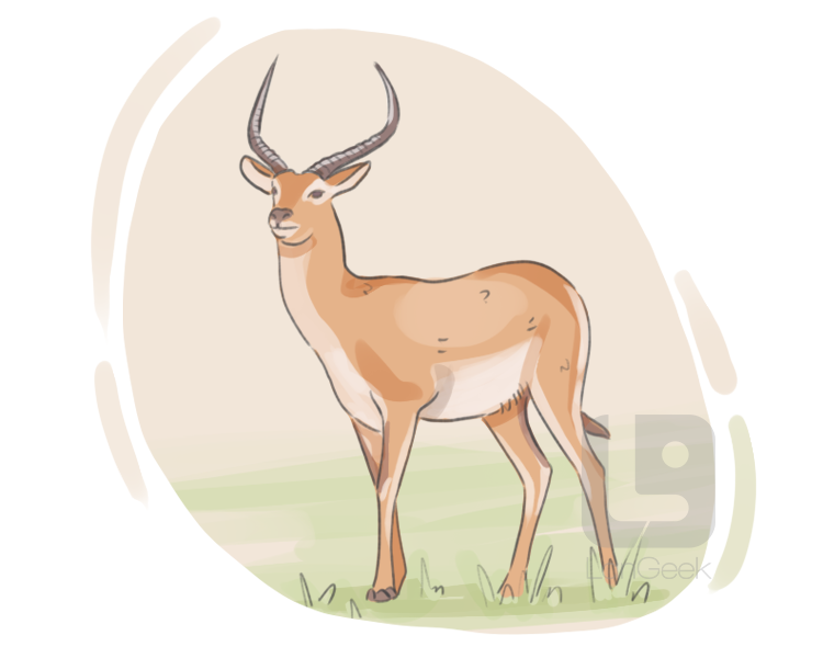 lechwe definition and meaning