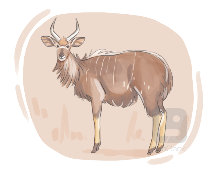 nyala definition and meaning