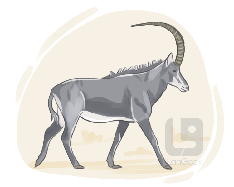 sable antelope definition and meaning