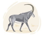 sable antelope