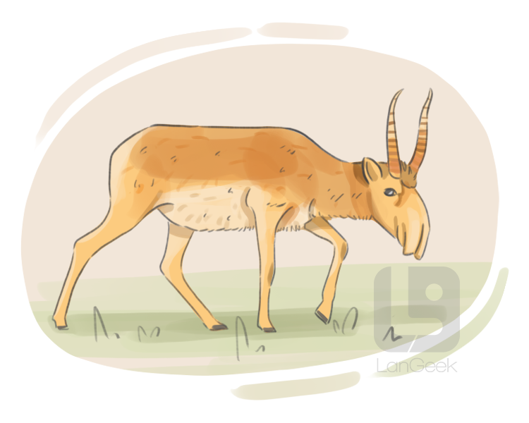 saiga tatarica definition and meaning