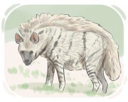 striped hyena