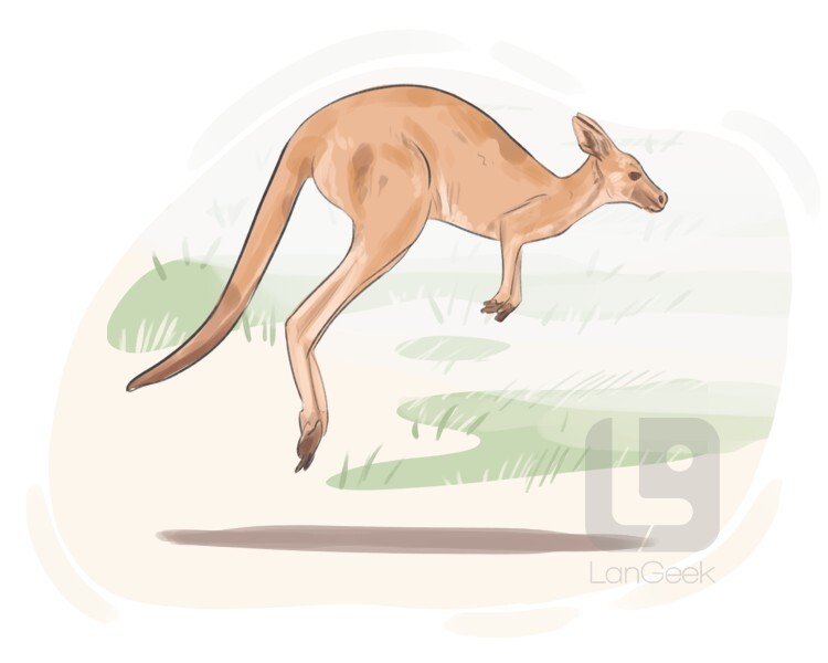 definition-meaning-of-hop-langeek