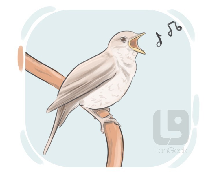 birdsong definition and meaning