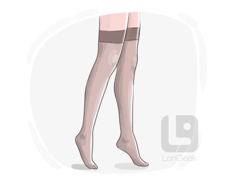 nylon stocking definition and meaning