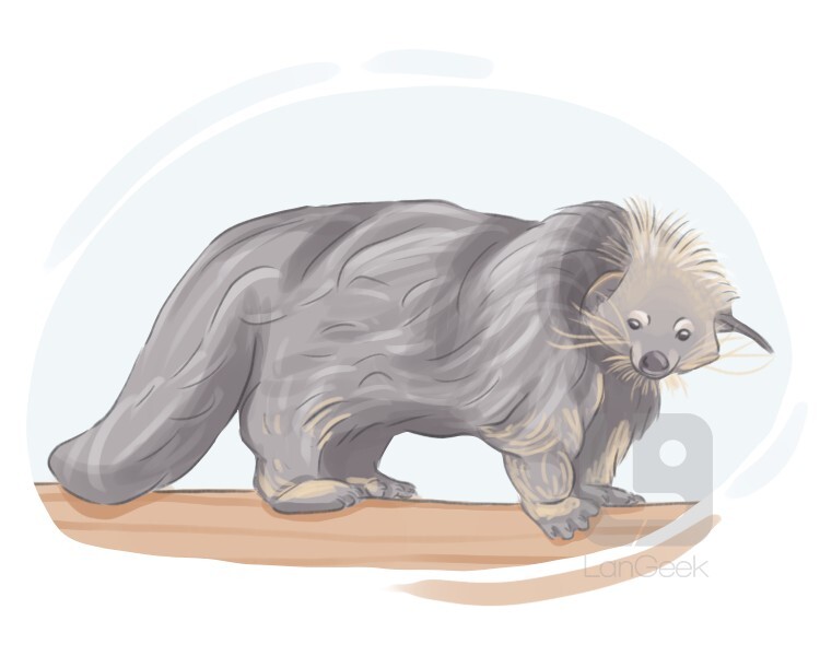 Definition & Meaning of "Bearcat" LanGeek