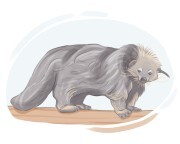 binturong