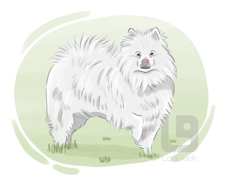 Eskimo dog definition and meaning