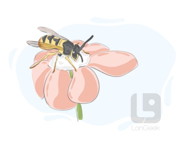 pollinator definition and meaning