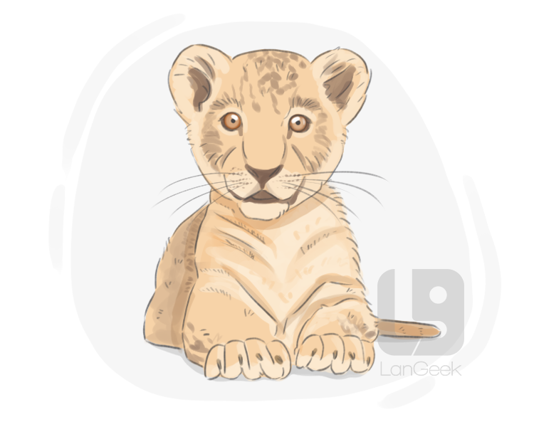 lion cub definition and meaning