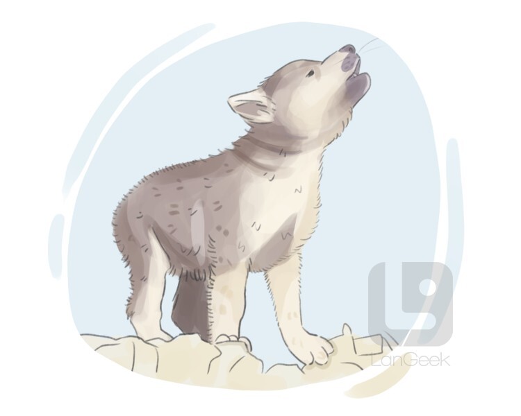 Definition & Meaning of "Wolf cub" | LanGeek