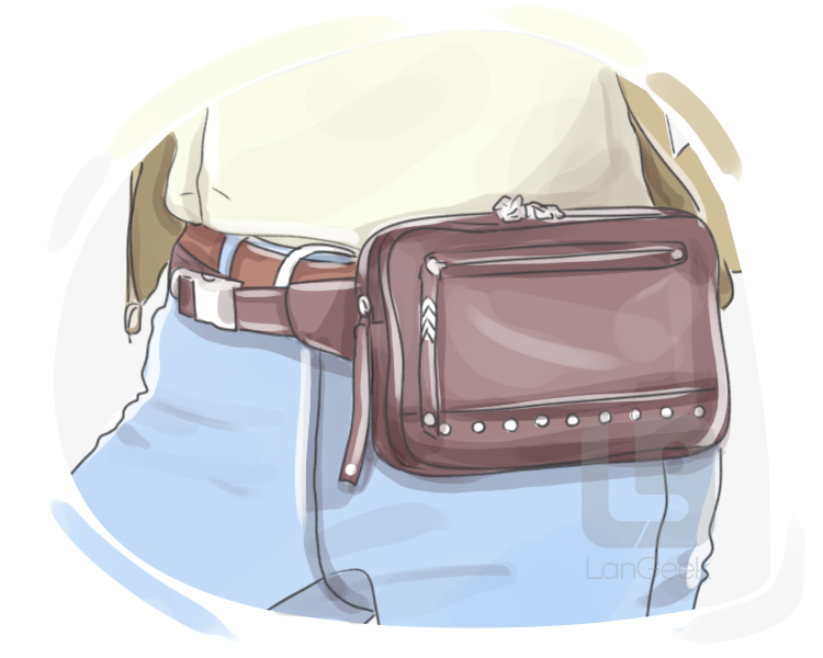 belt bag definition and meaning