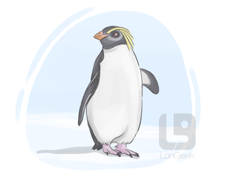 crested penguin definition and meaning