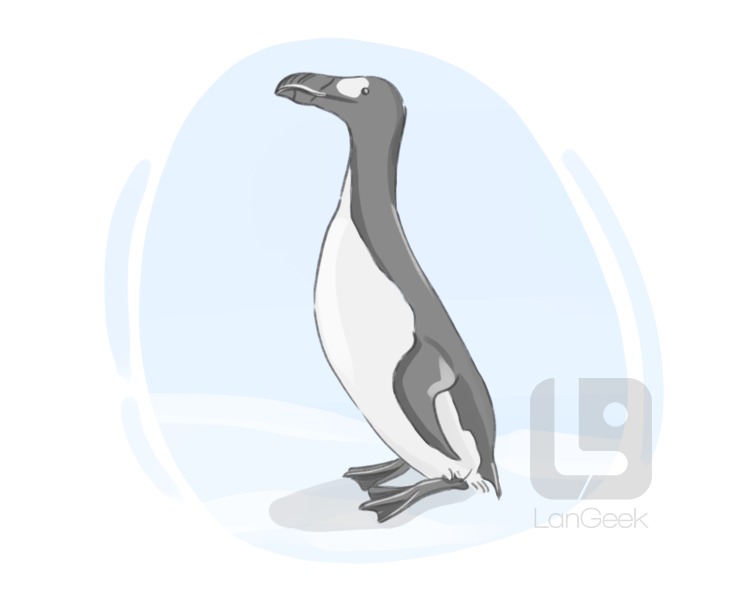 great auk definition and meaning