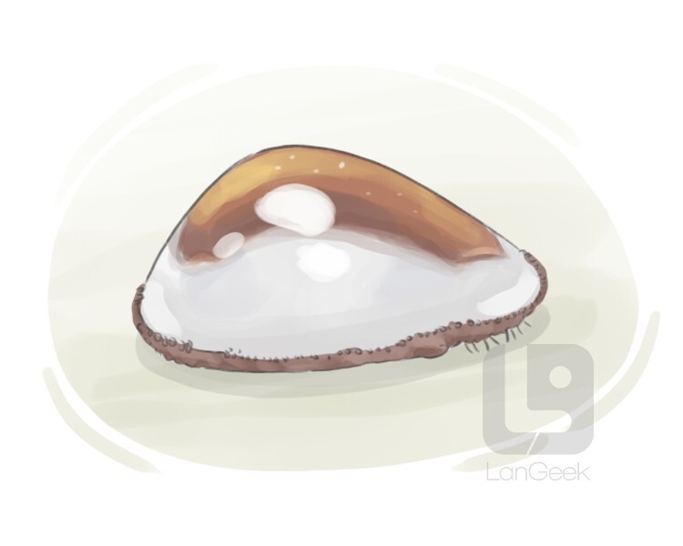 Definition & Meaning of "Cowrie" | LanGeek