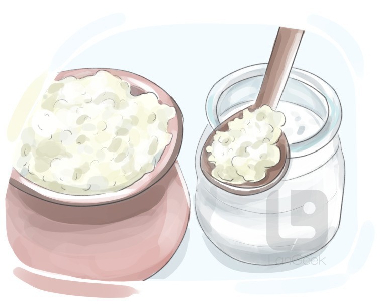 kefir definition and meaning