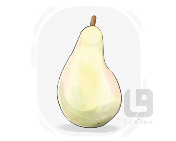 Definition & Meaning of "Cerrado pear" LanGeek