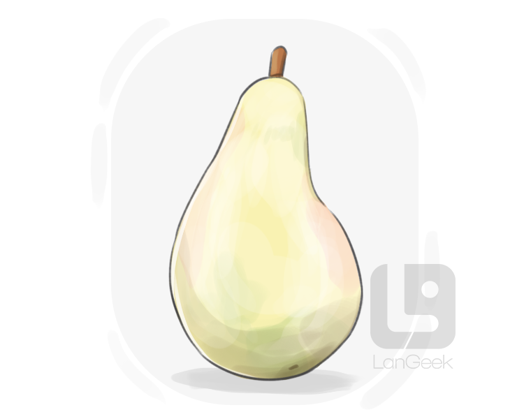 cerrado pear definition and meaning