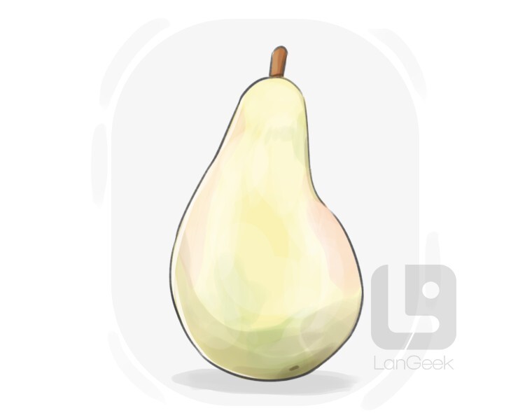 cerrado pear definition and meaning