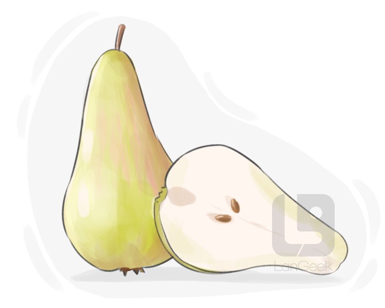 Definition & Meaning of "Concorde pear" LanGeek