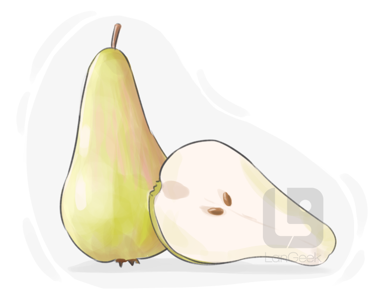 Concorde pear definition and meaning
