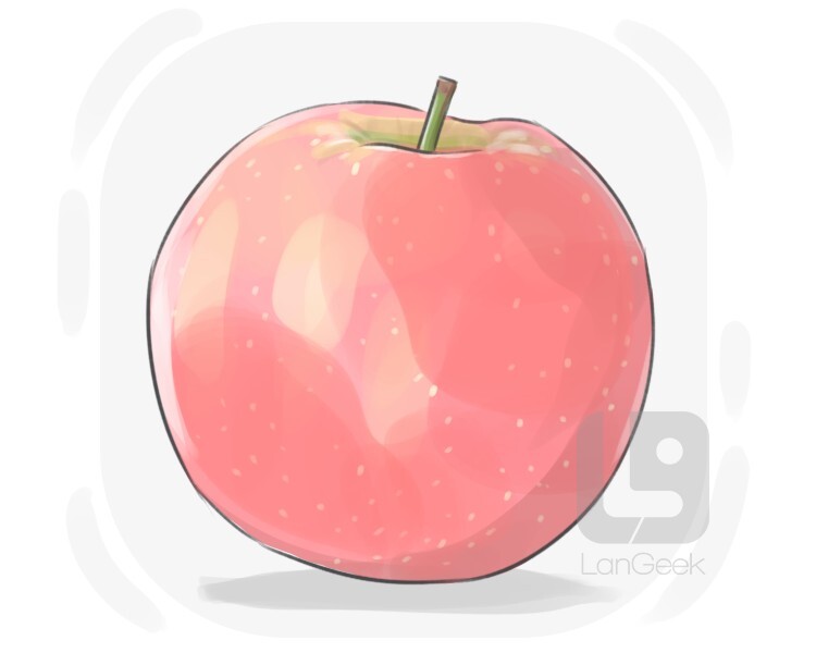 Definition & Meaning of "Cripps pink" LanGeek