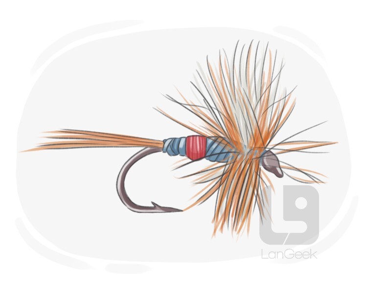 Definition & Meaning of Dry fly