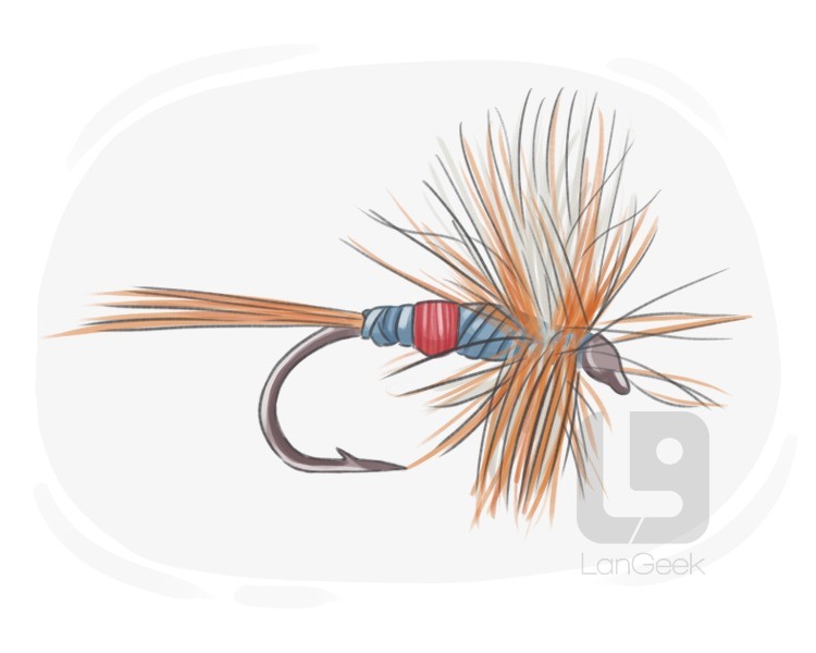 dry fly definition and meaning