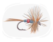 dry fly