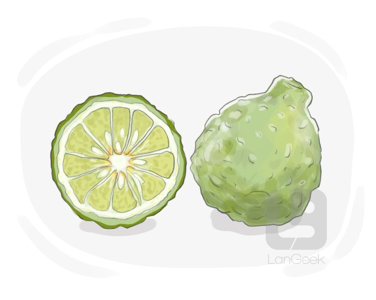 bergamot orange definition and meaning