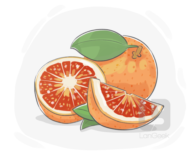 blood orange definition and meaning