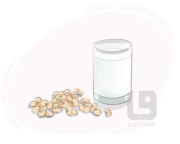 Definition & Meaning of "Soya milk" LanGeek