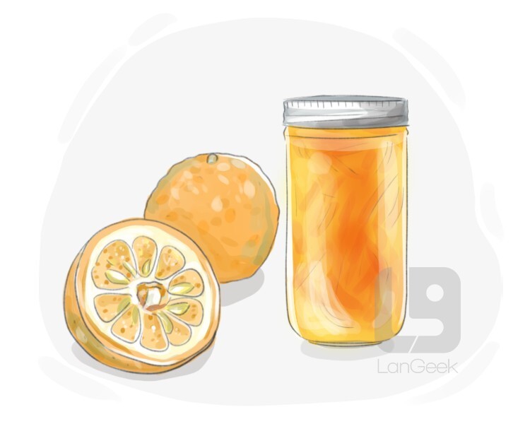 Definition & Meaning of "Bitter orange" LanGeek