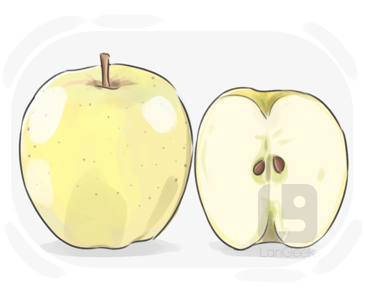 Golden Delicious definition and meaning