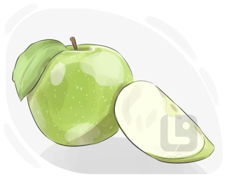 Granny Smith definition and meaning