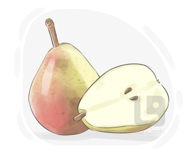 seckel pear definition and meaning