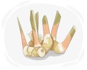 galangal