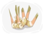 galangal
