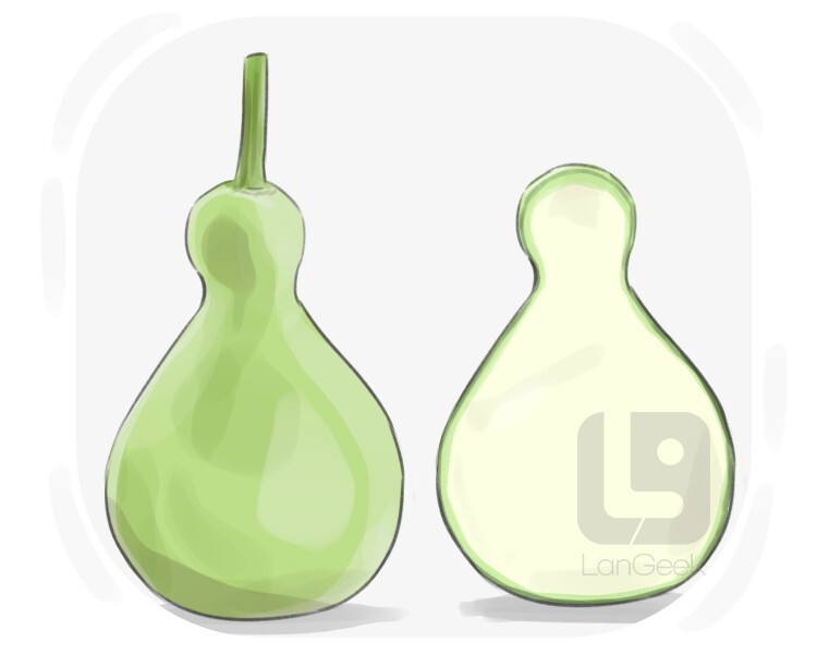 Definition & Meaning of "Calabash" LanGeek