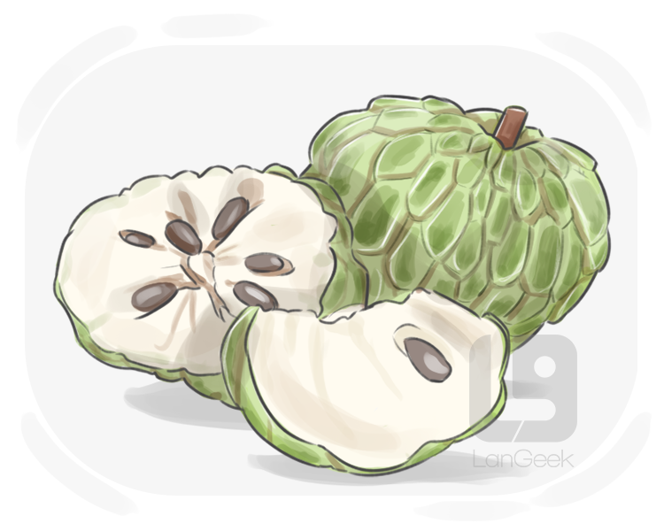 cherimoya definition and meaning