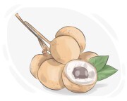 longan