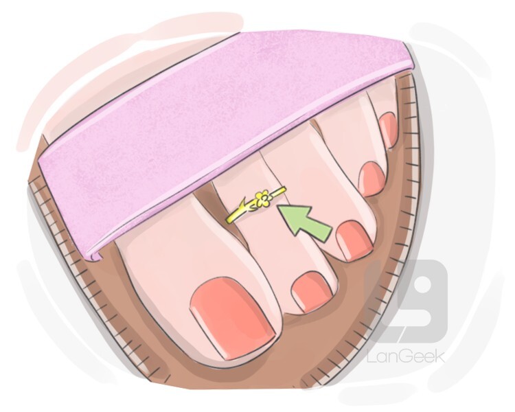 toe ring definition and meaning