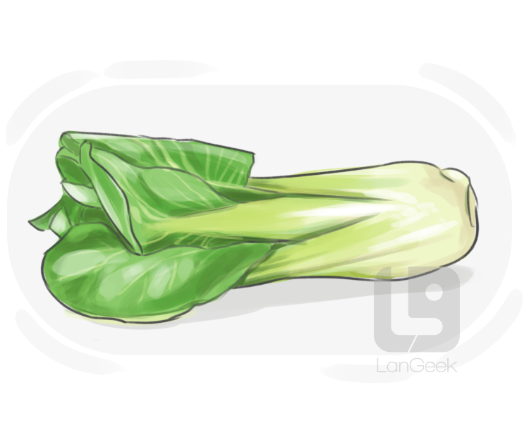bok choi definition and meaning