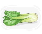 bok choy