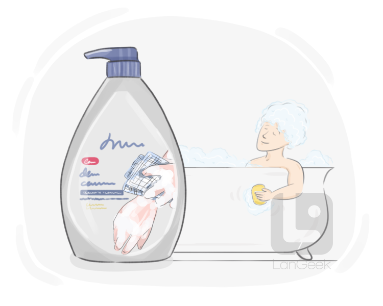 body wash definition and meaning