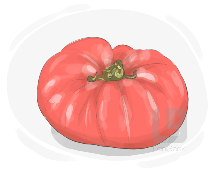 beefsteak tomato definition and meaning